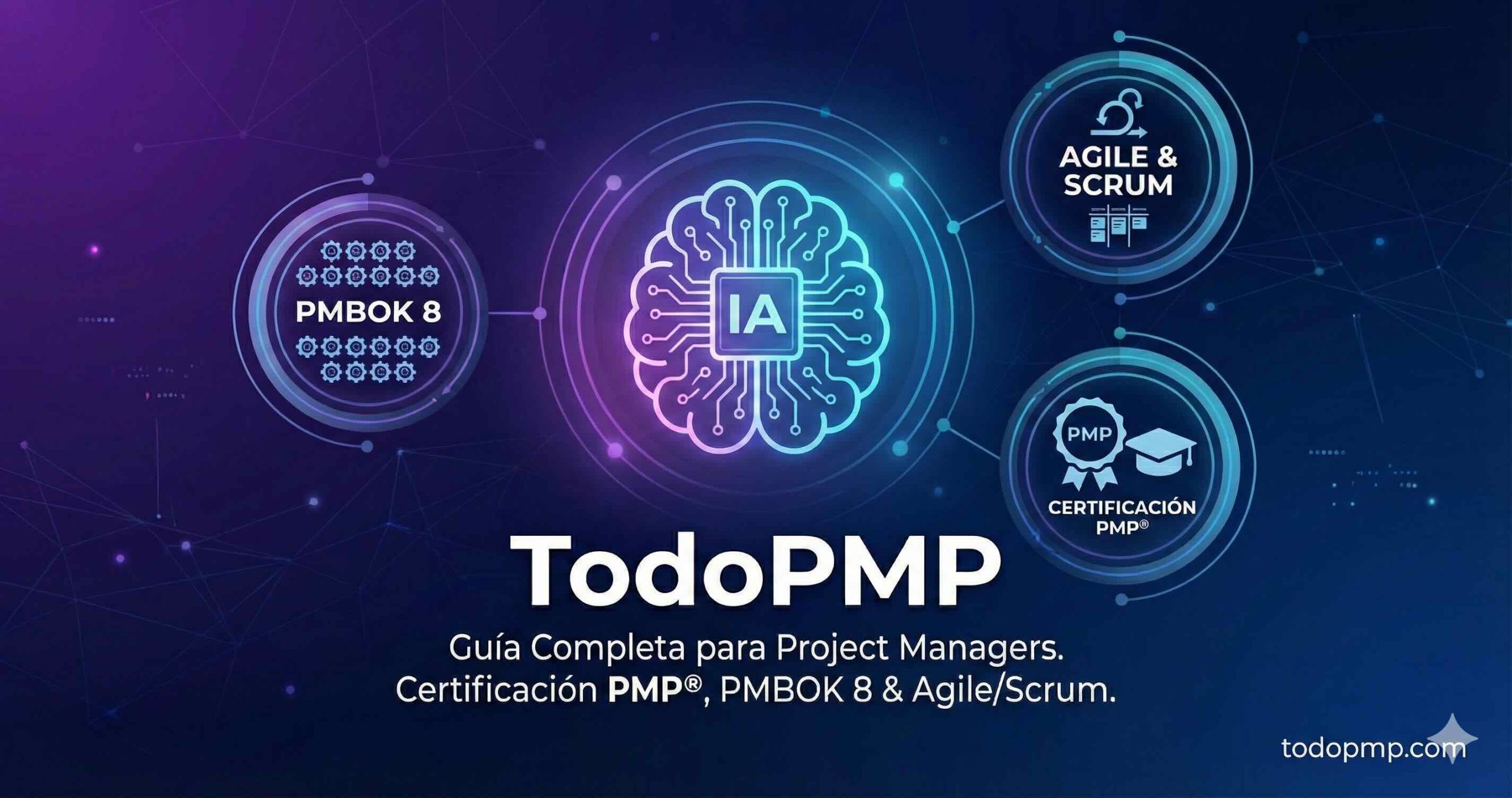 40 Procesos PMBOK 8: Mapa Interactivo y Explicaciones